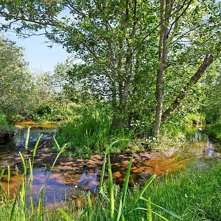 Tulipanvej Fjerritslev I * Fjerritslev